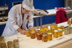 National Honey Judge Suzy Perkins hard at work at the Wiltshire Bee & Honey Day 2019