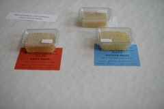 Delicious cut comb honey at the Wiltshire Bee & Honey Day 2019