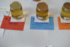 The standards in the novice class were high at the Wiltshire Bee & Honey Day 2019