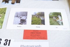 The winner of the Hive(s) and/or Apiary(s) class at the Wiltshire Bee & Honey Day 2019