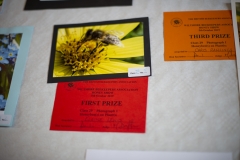 The winner of the Honey Bee(s) on Plant(s) class at the Wiltshire Bee & Honey Day 2019