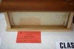 A magnificent shallow frame for extraction at the Wiltshire Bee & Honey Day 2019