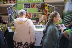 The Mayor of Devizes inspects the Wiltshire Wildlife Trust stand at the Wiltshire Bee & Honey Day 2019