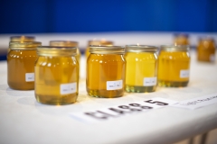 Beautiful honeys on show at the Wiltshire Bee & Honey Day 2019