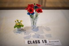 Flowers made from beeswax on show at the Wiltshire Bee & Honey Day 2019
