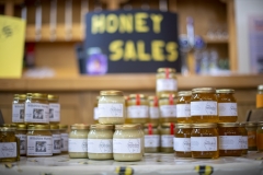 Local honey for sale at the Wiltshire Bee & Honey Day 2019
