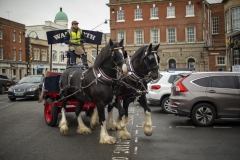 Martin Whittle drives the Wadworth shire horses as he delivers two casks of Honey Days, a honey beer brewed especially for the event by Wadworth