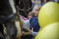 Children adored petting the Wadworth shire horses at the Wiltshire Bee & Honey Day 2019