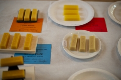 Winning Wax Blocks on show  at the Wiltshire Bee & Honey Day 2019