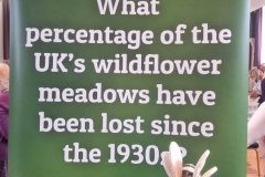 IMG-20251012-WA0020